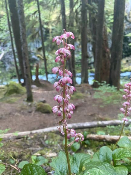 jsv;ujreap ariu ruhfp urfh peruf heiruj 